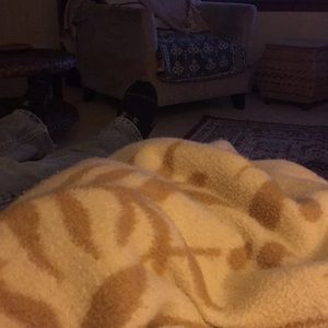 Meet your Posher, Ava